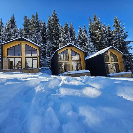 Toodoresort Karakol Dış mekan fotoğraf